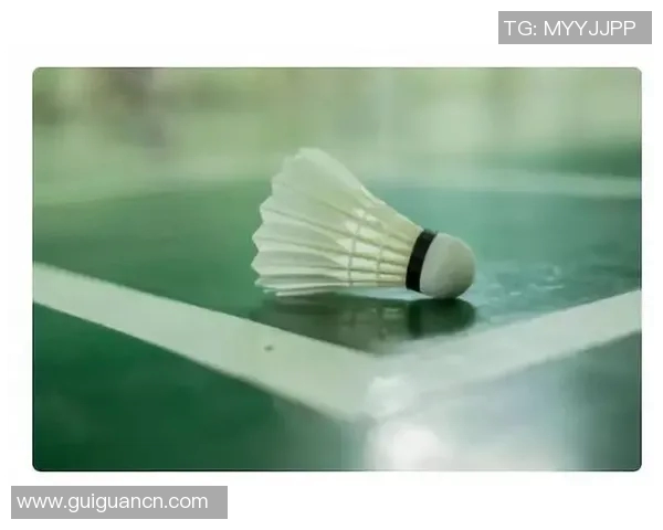 对话吴静：回顾羽毛球生涯的辉煌与挑战与未来展望